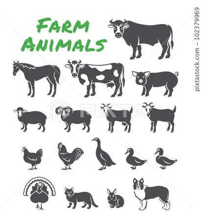 Domestic farm animals solid silhouette illustrations. Simple outline elements of large and small cattle, fowl, horse, pig, turkey, rabbit, other pets. Clip art of livestock, male and female species 102379969
