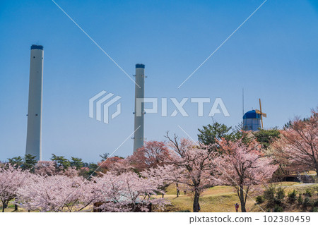 （福島縣）廣野町櫻花、二津沼綜合公園風車和煙囪 102380459