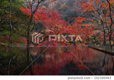 日本京都府京都市嵯峨嵐山遊採亭水鏡中倒映的秋葉 日本京都府京都市嵯峨嵐山遊採亭水鏡中倒映的秋葉 102380463