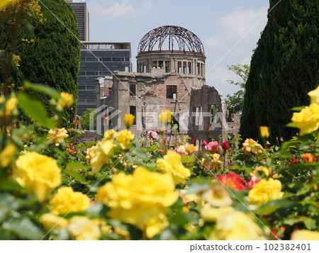 Roses and the Atomic Bomb Dome 102382401