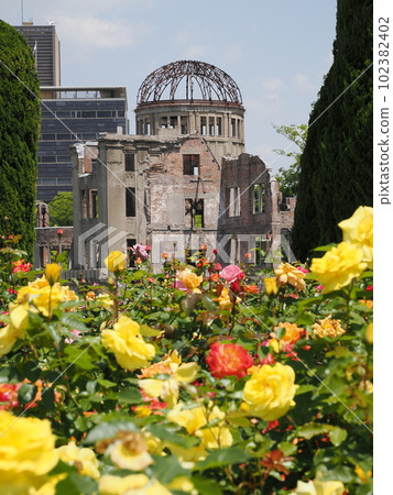 Roses and the Atomic Bomb Dome 102382402