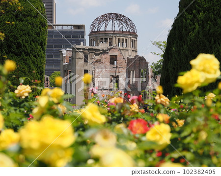 Roses and the Atomic Bomb Dome Roses and the Atomic Bomb Dome 102382405