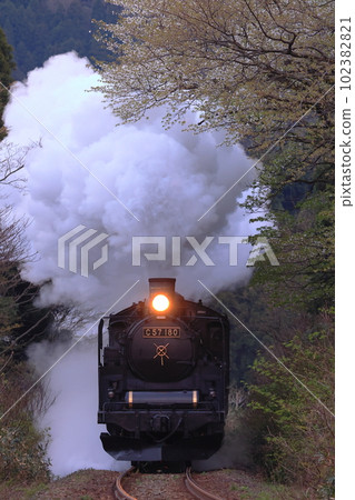 蒸汽機車磐越物語 No. C57180 C57180 白煙從櫻花盛開的春天森林中冒出來 沒有頭標的特殊服務 102382821