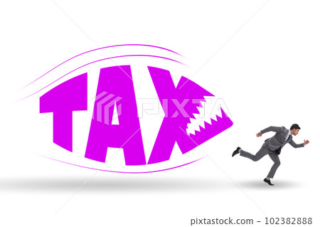 Concept of the tax burden 102382888