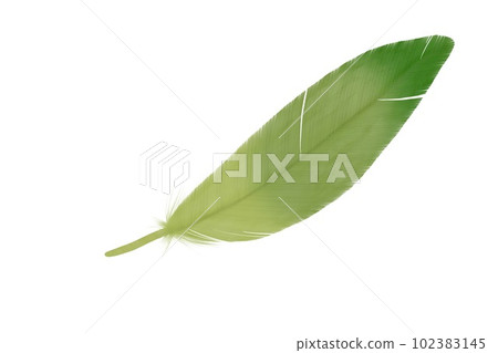 Hand drawn feather illustration. fluffy feathers. for invitation wedding card. Rustic feathers Bright colors. 102383145