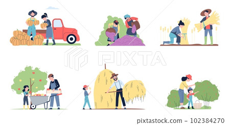 Fruit and berry picking, autumn gathering. Family planting, fall harvesting in garden. Agriculture farmers, people in garden recent vector scenes Fruit and berry picking, autumn gathering. Family planting, fall harvesting in garden. Agriculture farmers, people in garden recent vector scenes 102384270