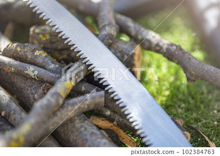Branch pruning, branch saw on trees close-up with copy space. Pieces of branches on green grass as a concept of garden and tree care. 102384763