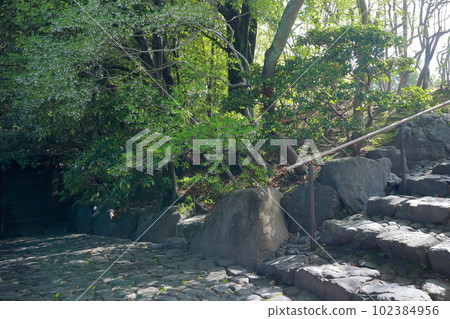Traditional Japanese-style architecture (Dodan-tei, detached house of the former Asai family, Owariasahi City, Aichi Prefecture) Traditional Japanese-style architecture (Dodan-tei, detached house of the former Asai family, Owariasahi City, Aichi Prefecture) 102384956