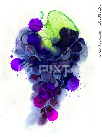 Bunch of purple grapes on white background. Hand-drawn ink and watercolor with splatters on paper Bunch of purple grapes on white background. Hand-drawn ink and watercolor with splatters on paper 102385153