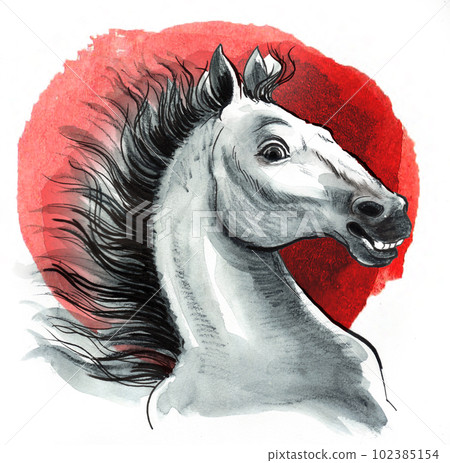 White horse on red background. Hand-drawn ink and watercolor with splatters on paper White horse on red background. Hand-drawn ink and watercolor with splatters on paper 102385154