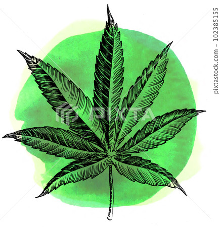 Cannabis leaf on green background. Hand-drawn ink and watercolor with splatters on paper Cannabis leaf on green background. Hand-drawn ink and watercolor with splatters on paper 102385155