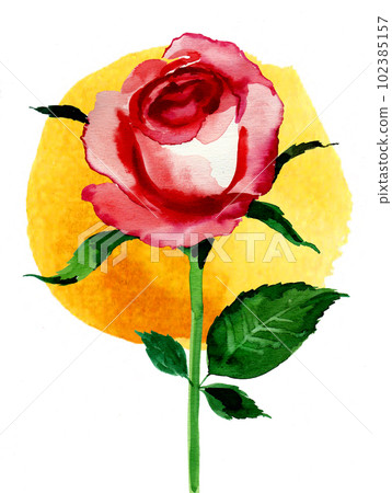 Red rose flower on yellow background. Hand-drawn ink and watercolor on paper 102385157