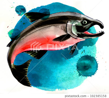 Red salmon fish on green background. Hand-drawn ink and watercolor with splatters on paper Red salmon fish on green background. Hand-drawn ink and watercolor with splatters on paper 102385158
