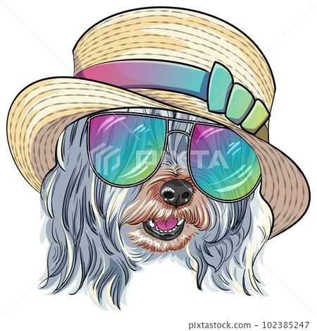 vector dog Lowchen in straw hat vector dog Lowchen in straw hat 102385247