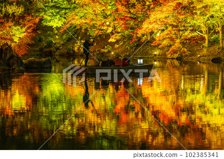 [Takamatsu City] Ritsurin Park Autumn Illumination [Autumn Leaves] 102385341