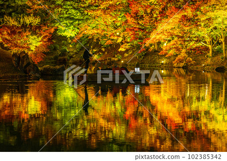 [Takamatsu City] Ritsurin Park Autumn Illumination [Autumn Leaves] 102385342