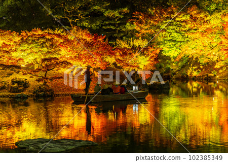 [高松市]栗林公園秋季燈飾[紅葉] 102385349