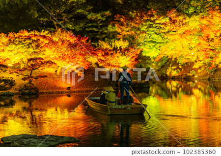 [高松市]栗林公園秋季燈飾[紅葉] 102385360