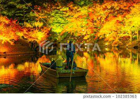 [Takamatsu City] Ritsurin Park Autumn Illumination [Autumn Leaves] 102385363
