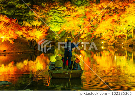[Takamatsu City] Ritsurin Park Autumn Illumination [Autumn Leaves] 102385365