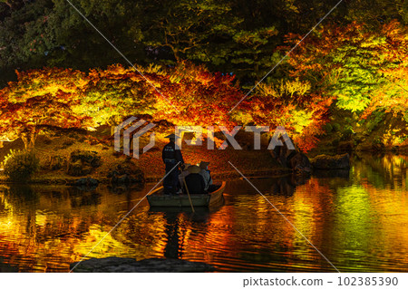 [Takamatsu City] Ritsurin Park Autumn Illumination [Autumn Leaves] 102385390