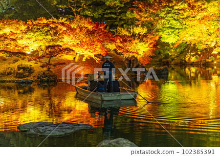 [Takamatsu City] Ritsurin Park Autumn Illumination [Autumn Leaves] 102385391