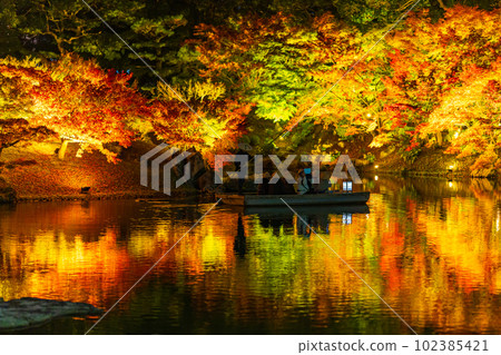 [高松市]栗林公園秋季燈飾[紅葉] 102385421