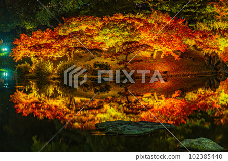 [高松市]栗林公園秋季燈飾[紅葉] 102385440