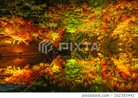 [高松市]栗林公園秋季燈飾[紅葉] 102385442