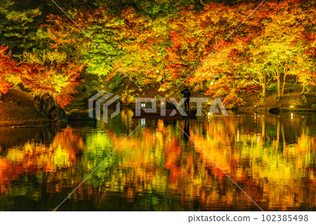 [Takamatsu City] Ritsurin Park Autumn Illumination [Autumn Leaves] 102385498