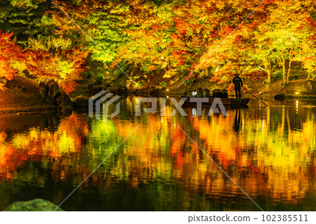[Takamatsu City] Ritsurin Park Autumn Illumination [Autumn Leaves] 102385511