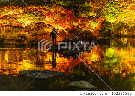 [高松市]栗林公園秋季燈飾[紅葉] 102385556