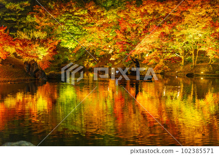 [Takamatsu City] Ritsurin Park Autumn Illumination [Autumn Leaves] 102385571