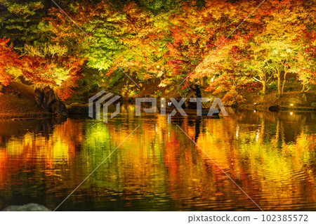 [高松市]栗林公園秋季燈飾[紅葉] 102385572