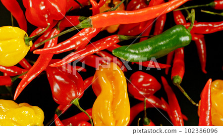 Freeze motion of flying mix of chilli peppers on black background. Freeze motion of flying mix of chilli peppers on black background. 102386096