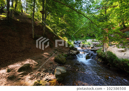 creek in the woods. nature wallpaper with cascades. warm summer morning creek in the woods. nature wallpaper with cascades. warm summer morning 102386508