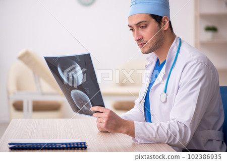 Young male doctor radiologist working in the clinic Young male doctor radiologist working in the clinic 102386935