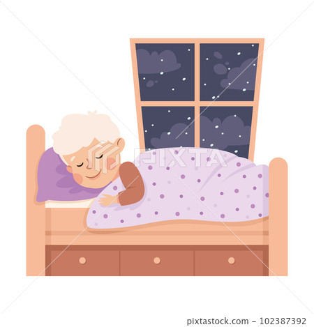 Little Boy Sleeping in His Bed Under Blanket Having Night Rest Vector Illustration 102387392