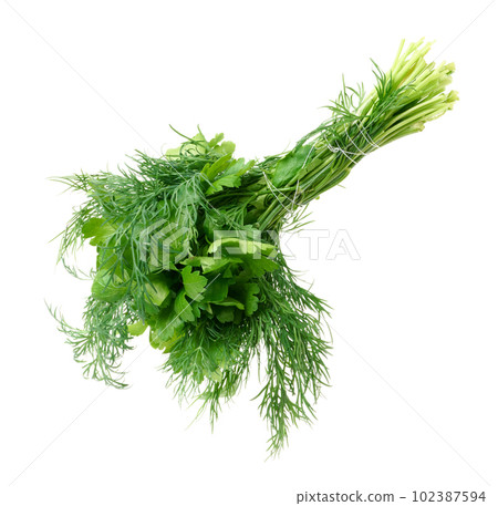 A bunch of parsley and dill on a white isolated background 102387594
