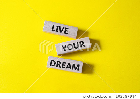 Live your Dream symbol. Wooden blocks with words Live your Dream. Beautiful yellow background. Business and Live your Dream concept. Copy space. Live your Dream symbol. Wooden blocks with words Live your Dream. Beautiful yellow background. Business and Live your Dream concept. Copy space. 102387984