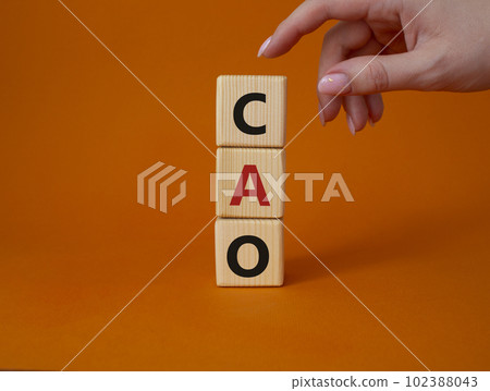 CAO - Chief Accounting Officer symbol. Wooden cubes with word CAO. Beautiful orange background. Businessman hand. Business and Chief Accounting Officer concept. Copy space. 102388043