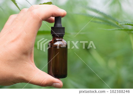 Cannabis oil in hands close-up, hemp leaves background. Bottle and empty label, mockup. 102388246