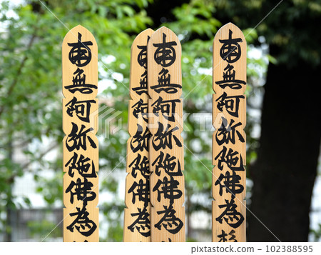 舍利塔一字排開 102388595