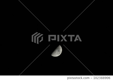 Hakushu-cho, Hokuto City, April, first quarter moon age 7.9 (Position: lower center) 102388906