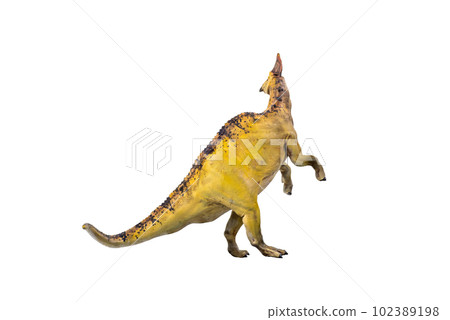 dinosaur , Olorotitan  isolated background 102389198