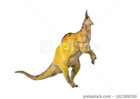 dinosaur , Olorotitan  isolated background 102389200