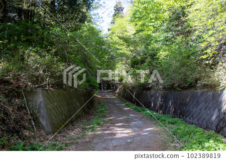 Junigadake starting point Gunma Prefecture Junigadake starting point Gunma Prefecture 102389819