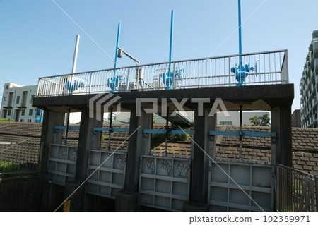 I walked along the Tsurumi River 102389971