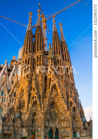Sagrada Familia of sunrise (Spain - Barcelona) 102390373