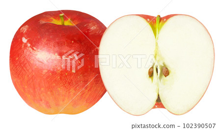 Real touch apple illustration Real touch apple illustration 102390507